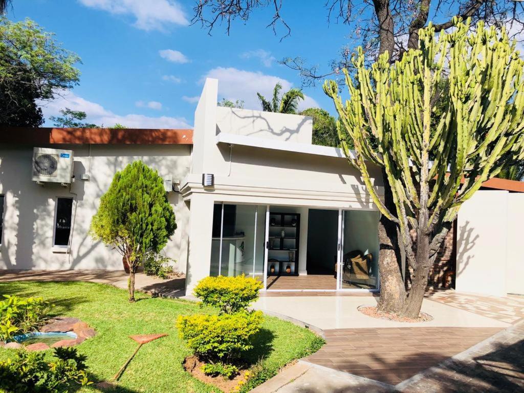 Bosveld Guest House Onverwacht Ngoại thất bức ảnh